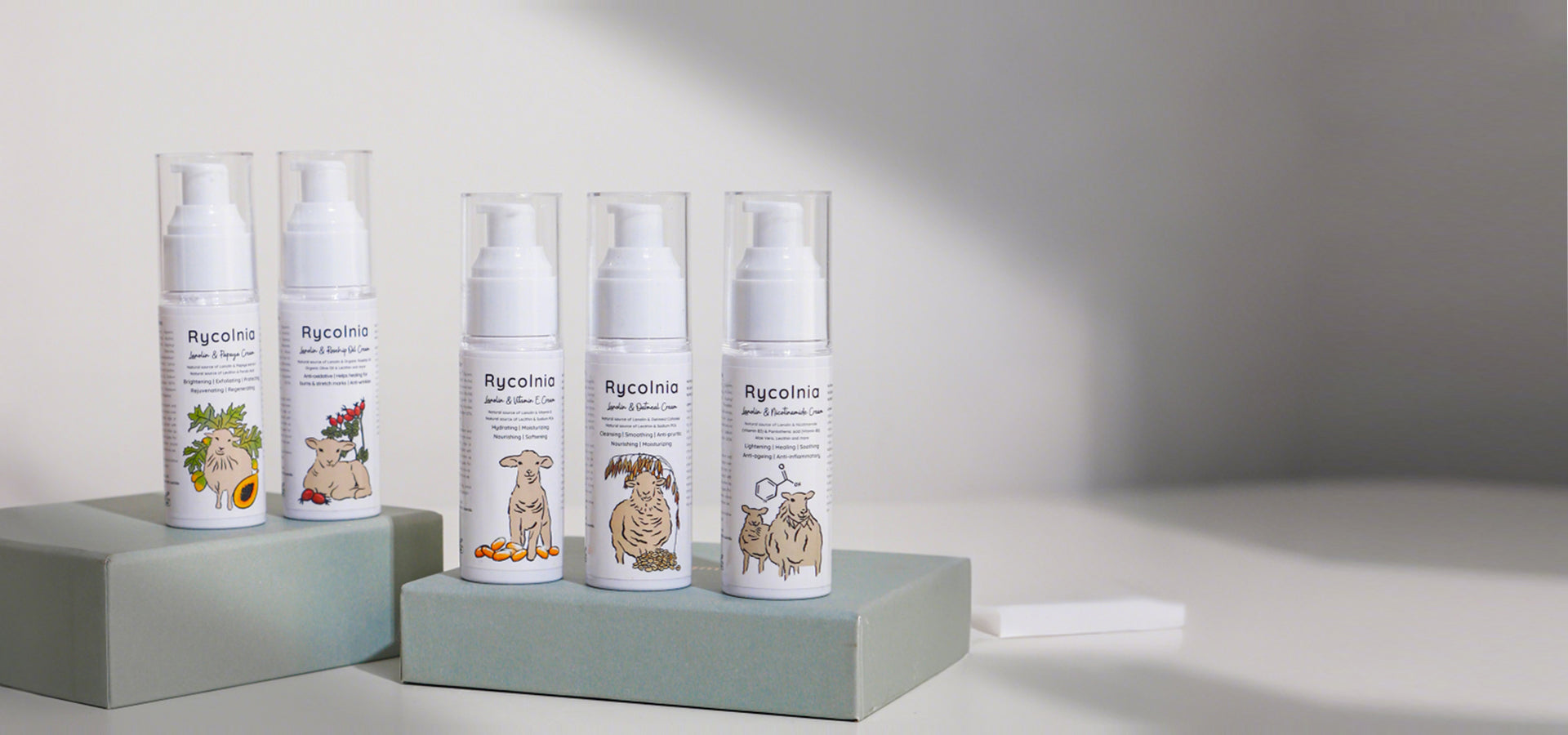 slider image slider_item_T4patE