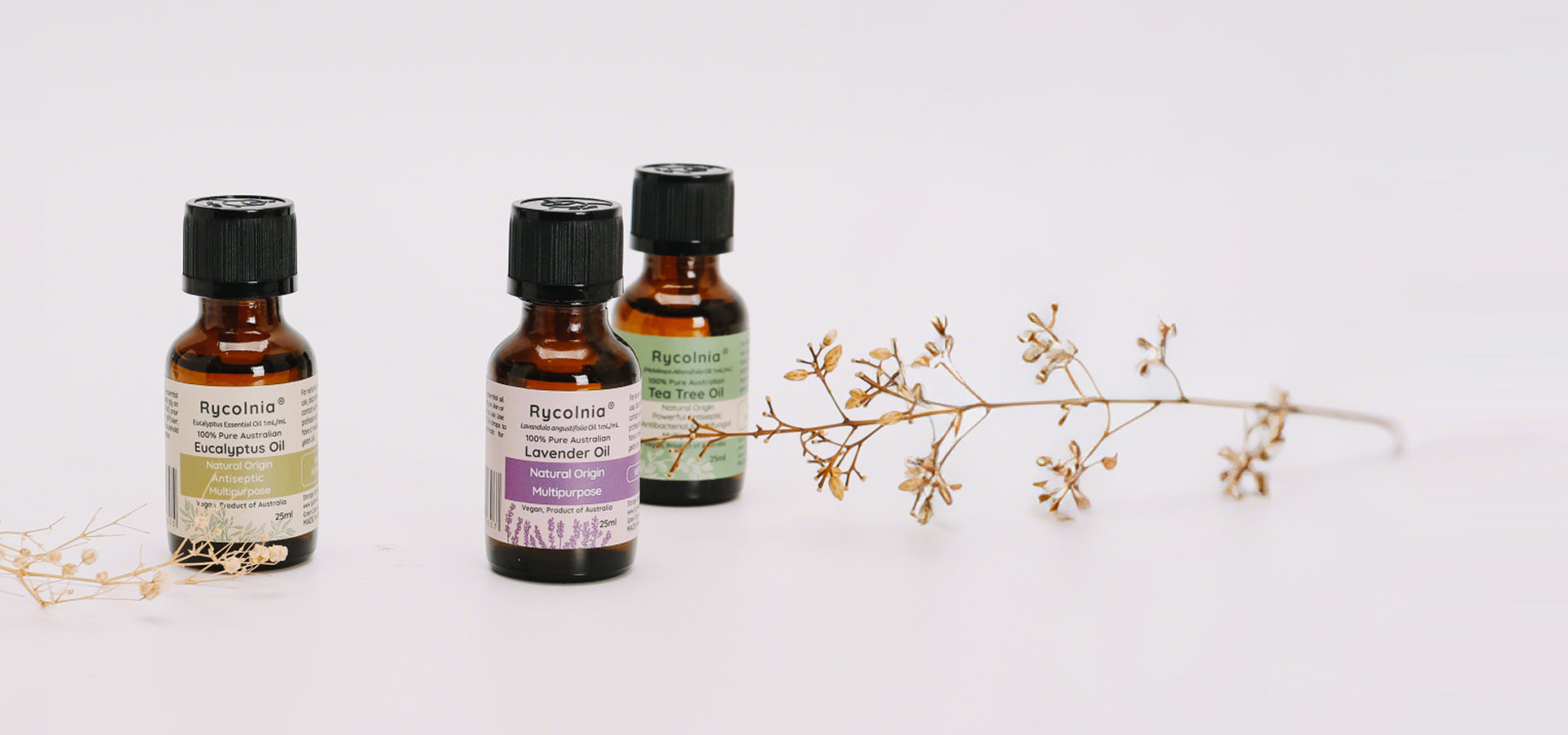 slider image slider_item_WLNanY