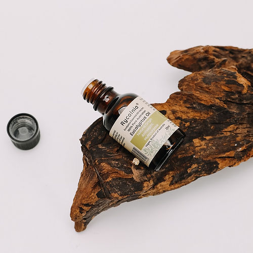Eucalyptus Oil - 25ml