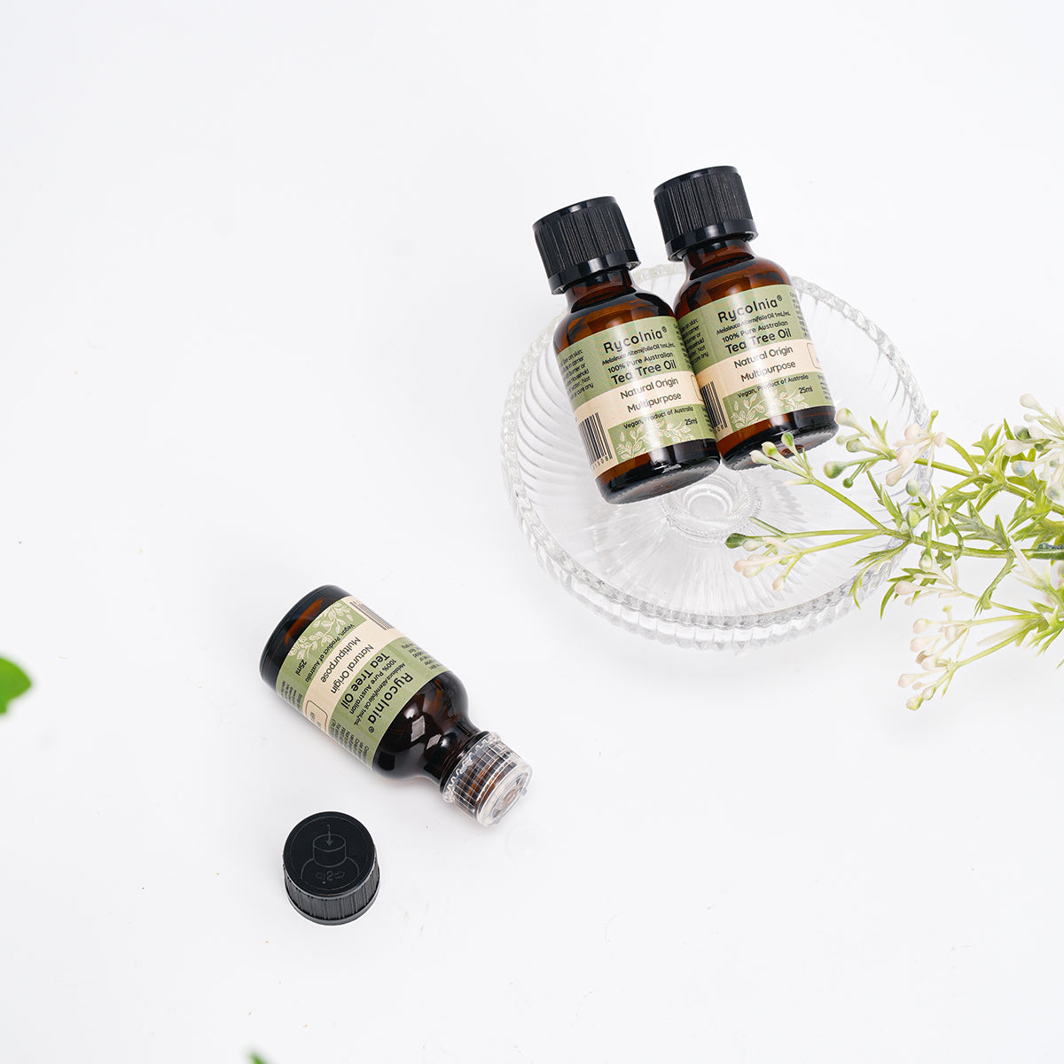 Eucalyptus Oil - 25ml