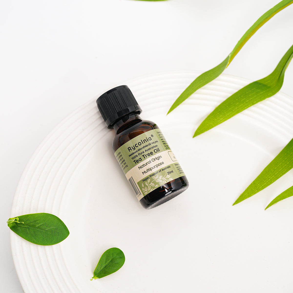 Eucalyptus Oil - 25ml