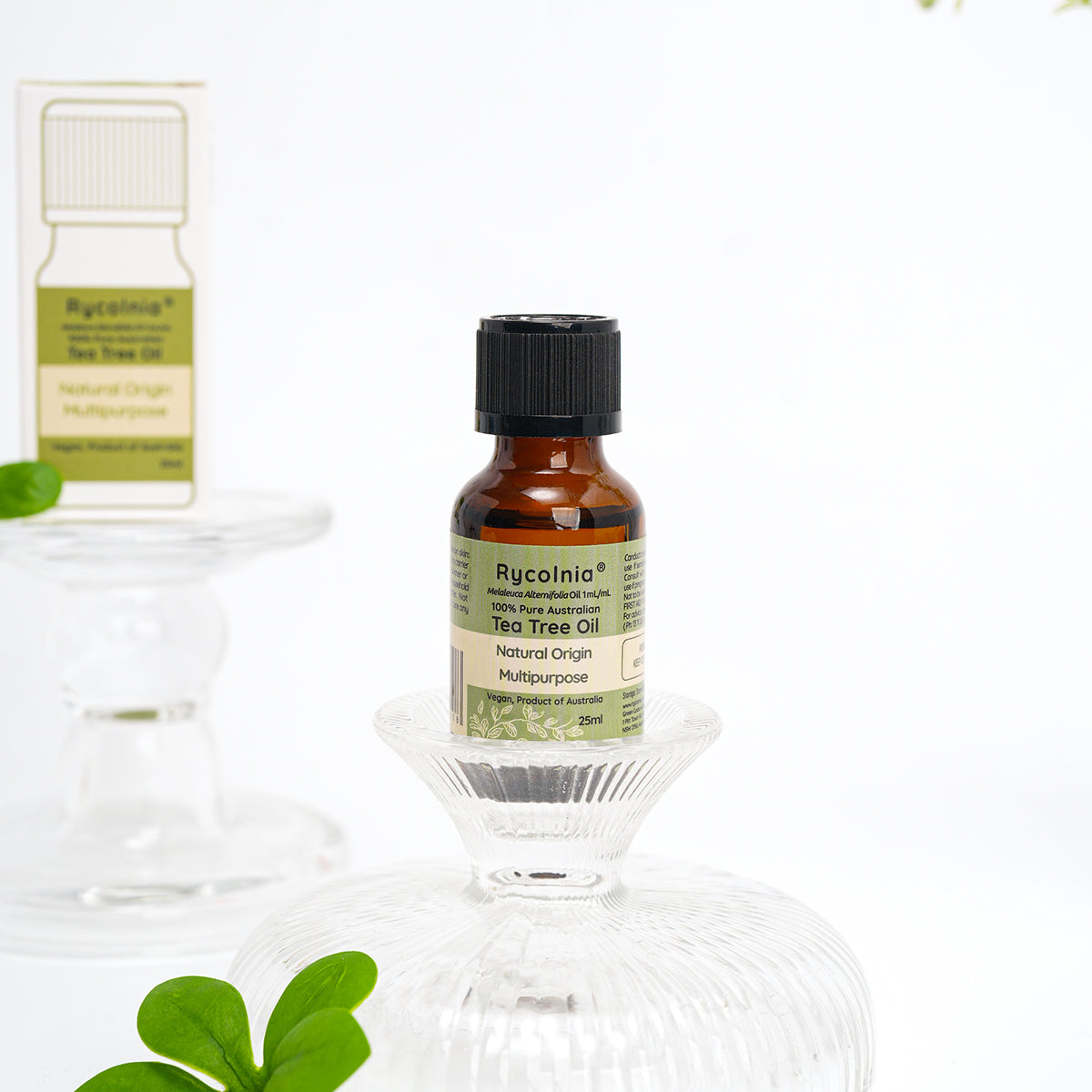 Eucalyptus Oil - 25ml